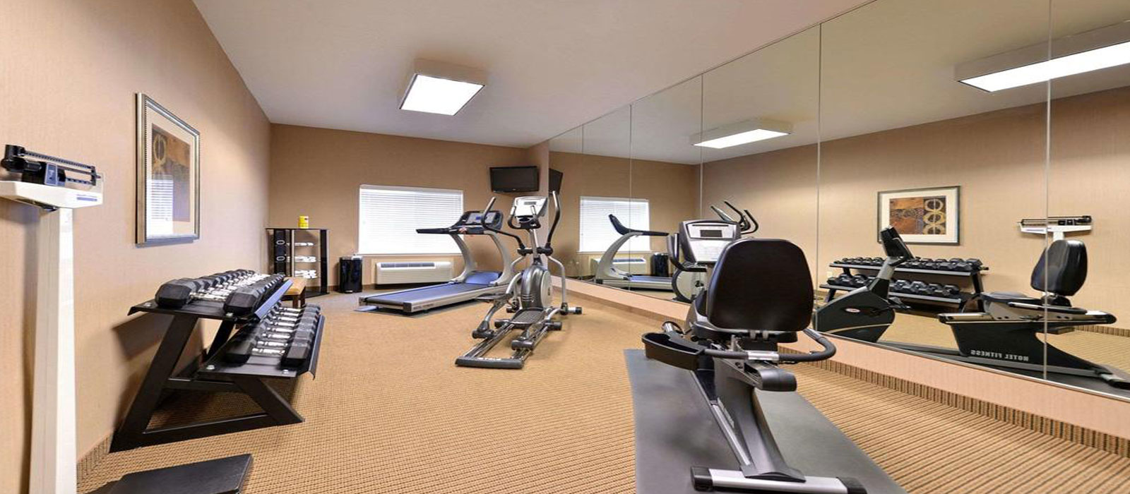 Energizing Workout Room